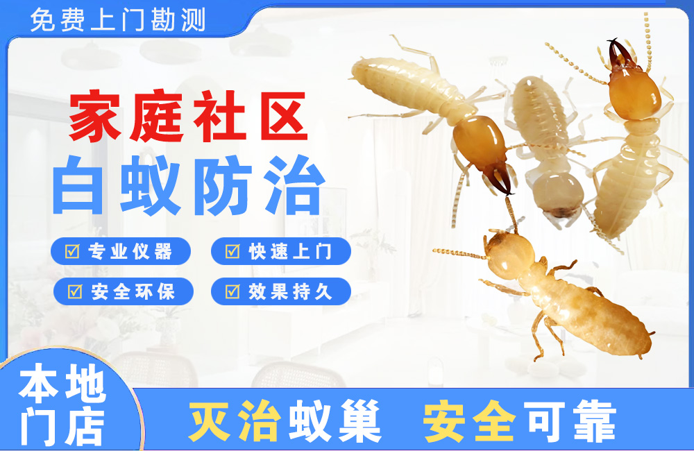 常州家庭社区白蚁防治