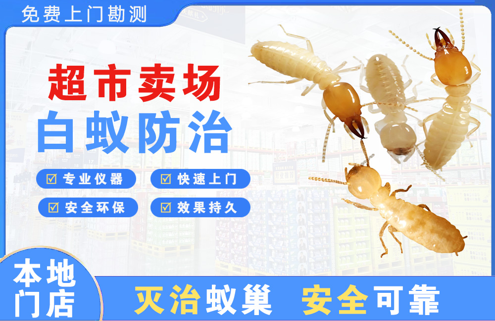 常州超市卖场白蚁防治