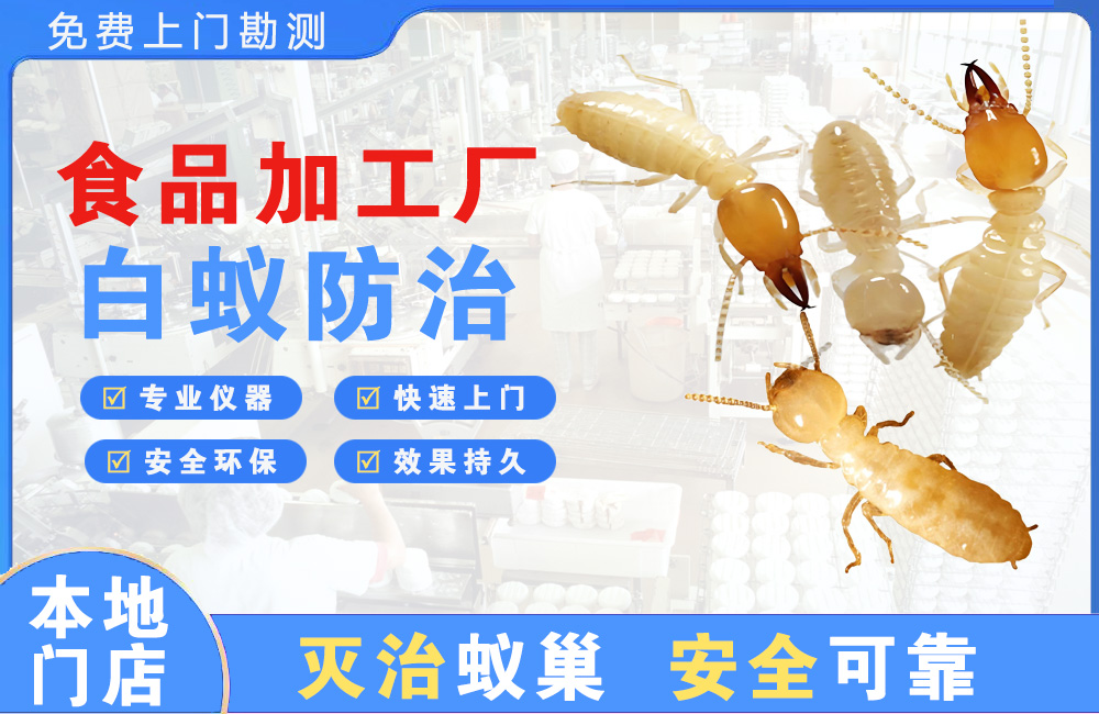常州食品加工厂白蚁防治