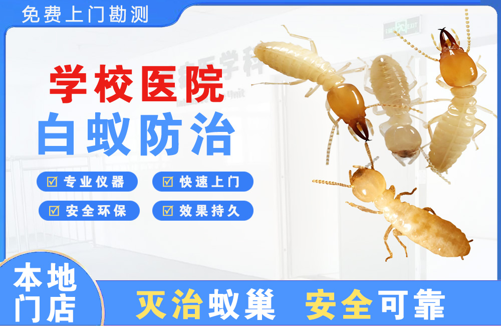 常州学校医院白蚁防治