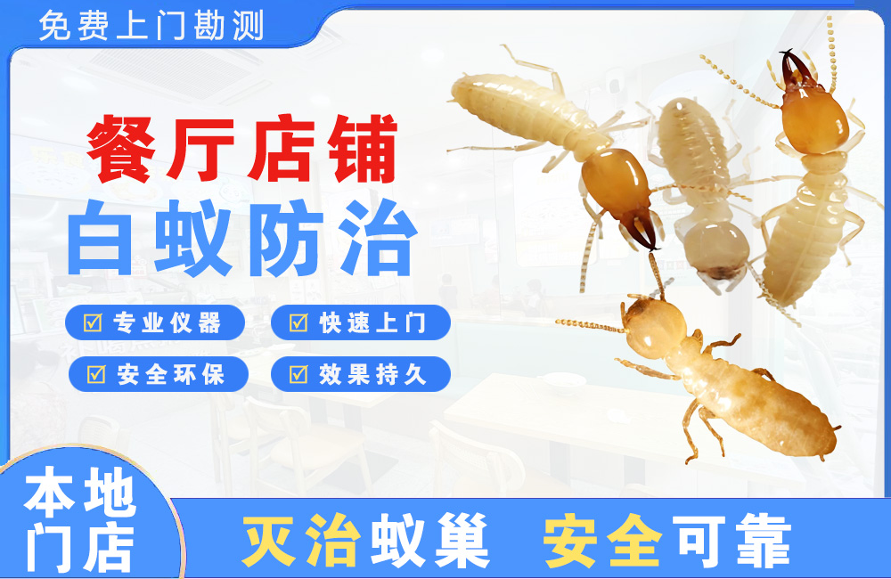 常州餐厅店铺白蚁防治